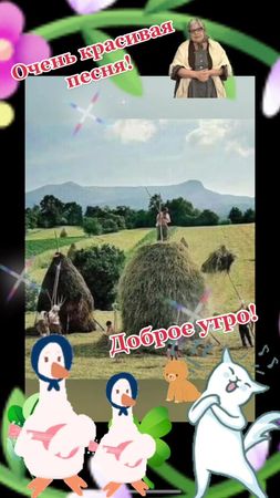 TikTok video #7027917422854245634