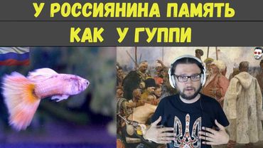 У россиянина память как у гуппи. Высокоразвитая цивилизация