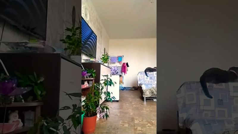 10 июля 2025 г.