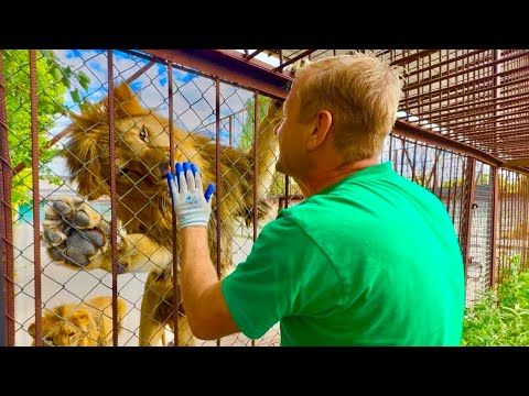 ПОСЛЕДНИЕ НОВОСТИ о ситуации с Олегом Зубковым!