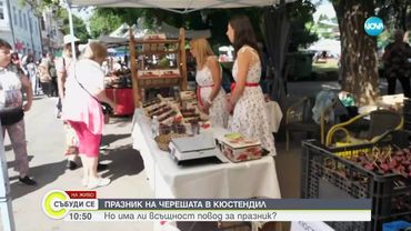 В Кюстендил се провежда празник на черешата