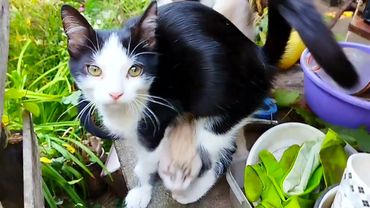 #Славянск. 17 сентября 2005г. Вечер.