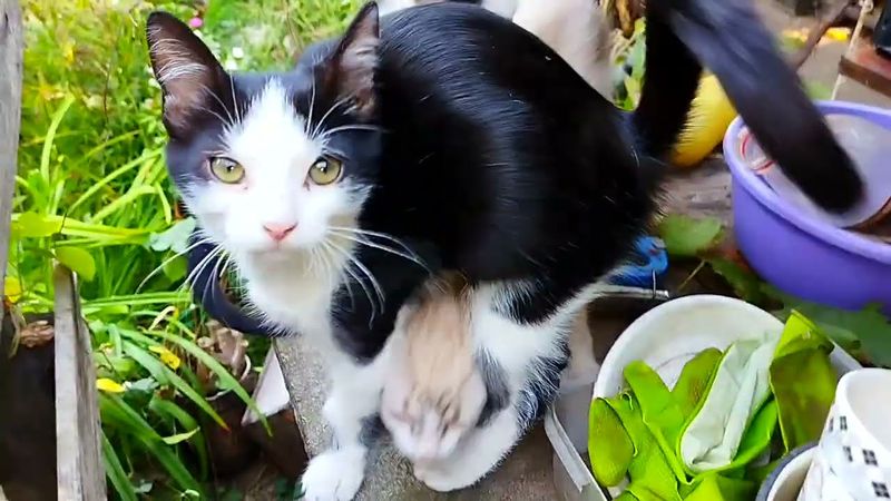 #Славянск. 17 сентября 2005г. Вечер.