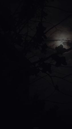 #قران #إسلام_صبحي #foryoupage #foryou #وان_ربك_لذو_فضل_على_الناس 