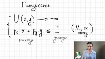 Полезность. Бюджетное ограничение и кривая безразличия. Теория.