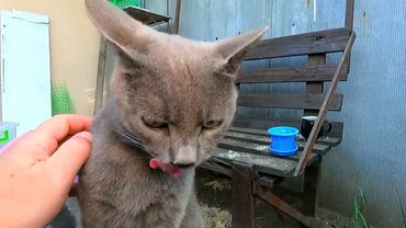 #Славянск. 22 августа 2025г. Вечер.