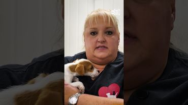 Houston boy comforts shelter animals through music