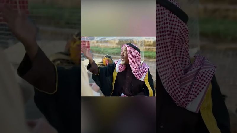 الدجاج لليوم الأسود عجيب والله #شباب_البومب