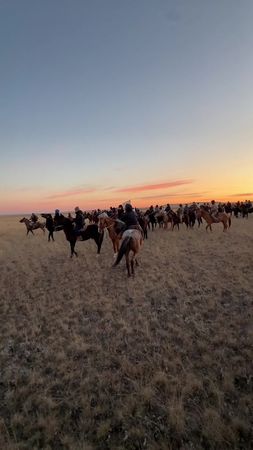 Рек? 🥰🙂‍↔️ #реки #рекомендации 