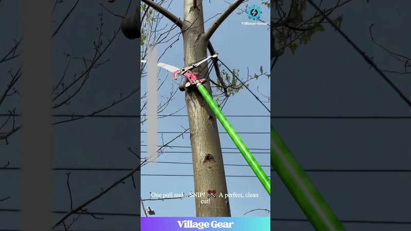 Look at This GENIUS Tree Trimming Tool! 🤯 It Cuts High Branches From the Ground! So Satisfying!