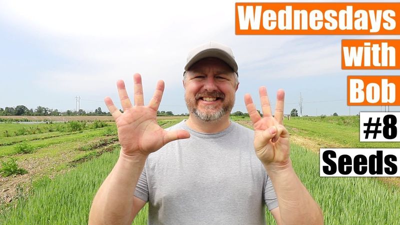 Wednesdays with Bob #8 - Seeds - June 10 2020
