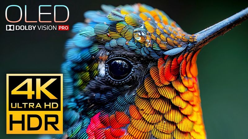 Fantastic 4K HDR 120fps Video - Dolby Vision [OLED DEMO]