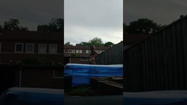 Zwemmen om 5 over half 9