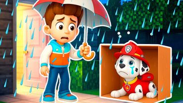 РАЙДЕР ПРИЮТИЛ БЕЗДОМНОГО МАРШАЛА ЩЕНЯЧИЙ ПАТРУЛЬ в МАЙНКРАФТ