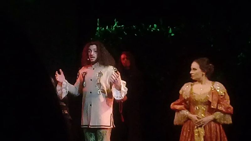 Спектакль "Три Мушкетера" Театр Стаса Намина