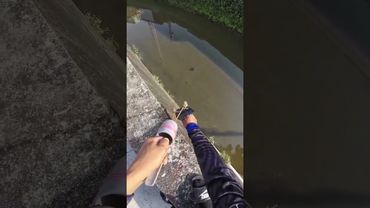 #My Video# Fishing 🐠🐟 With Gulte.