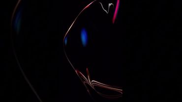 Вы знаете, что ваш паспорт поддельный, а все ФЗ лишь в интернете и не имеют юридической силы…