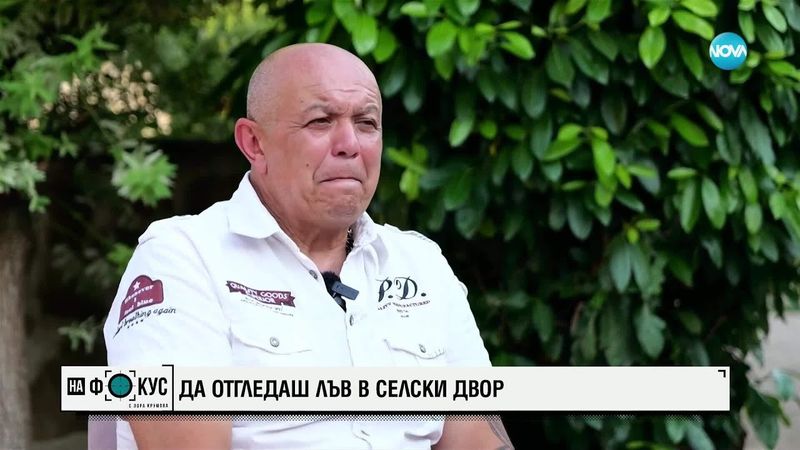 Историята на лъвицата Симба: Да отгледаш дива котка в селски двор