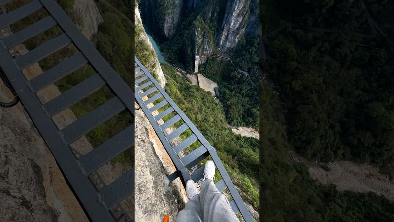 Рискнули бы пройти?😳