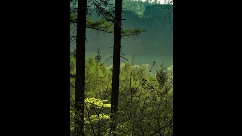 ЗАЩИТА МАТЕРИ - ЗЕМЛИ. ДЛЯ ВСЕХ. СЕМЬ РАЗ НАГОВОРИТЬ НА ГОРСТКУ ЗЕМЛИ И НОСИТЬ В МЕШОЧКЕ. #МАГИЯ