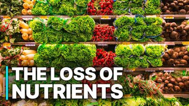 Industry Scandal: The Loss Of Nutrients | Corrupt Food Industry
