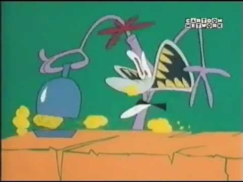 Yuckie Duck - Short Orders