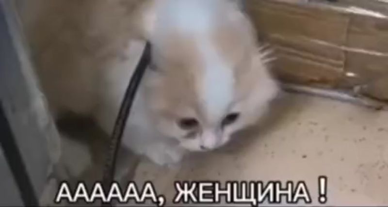 #ааааааа #женщина#рекомендации❤️ #рекомендации 