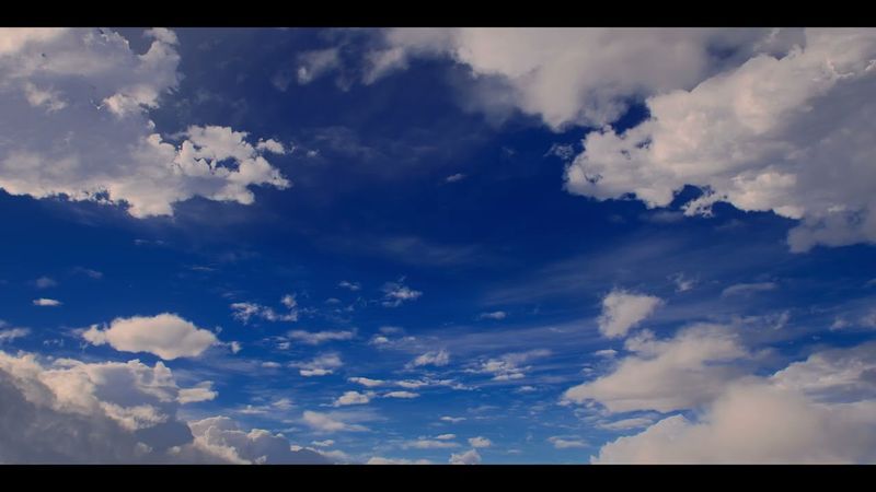 Netflix/Warner Bros. Television (2025)