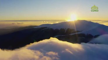 Стихи над миром. Стихотворения Зинаиды Миркиной