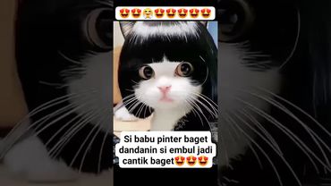 น้อน หน้ามน ตาโต