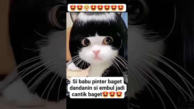 น้อน หน้ามน ตาโต