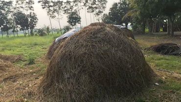 Kal Bhairav Ashtakam - The Reckoning: Location Hunt Day 2