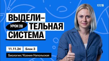 Выделительная система | Биофак 2025 | Урок 28