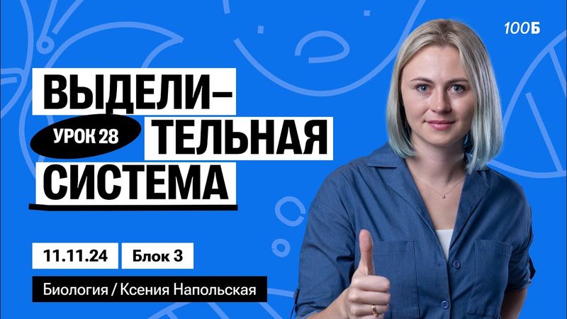 Выделительная система | Биофак 2025 | Урок 28