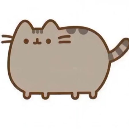 простити за отсутствие пж #pusheen_diva #pusheen 