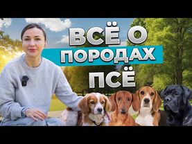 От Джек Рассела до Ретривера: обзор популярных пород. Особенности воспитания и характер. | ЛавГав