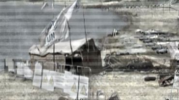 СВИНЬИ УНИЧТОЖИЛИ ЧЕЛОВЕЧЕСТВО ► Plague Inc: Evolved #26