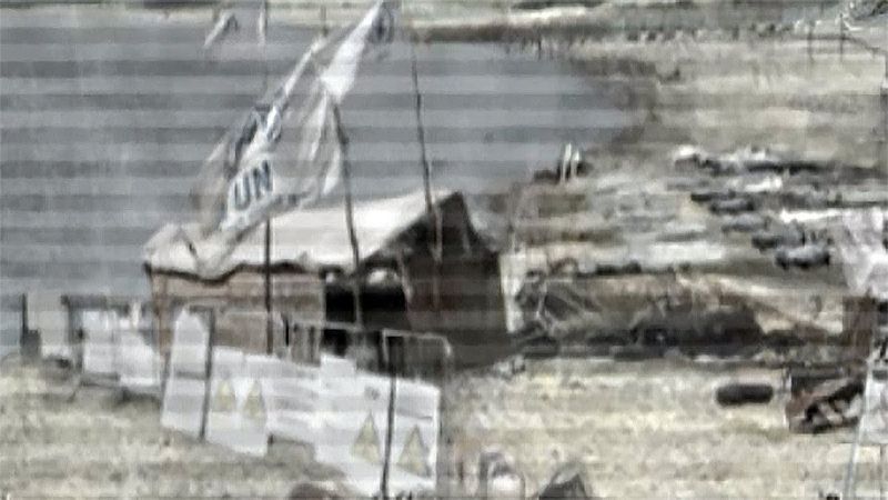 СВИНЬИ УНИЧТОЖИЛИ ЧЕЛОВЕЧЕСТВО ► Plague Inc: Evolved #26