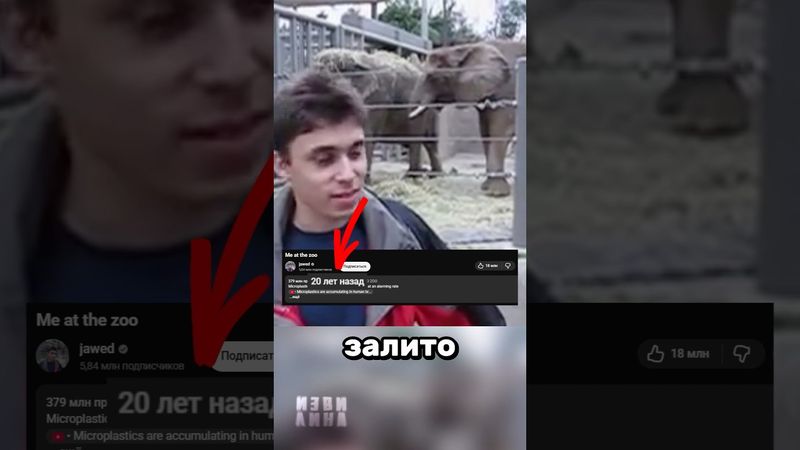 Первый комментарий на Ютубе