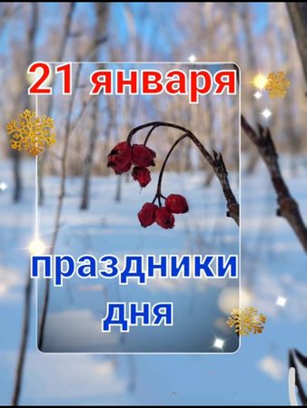 праздники дня