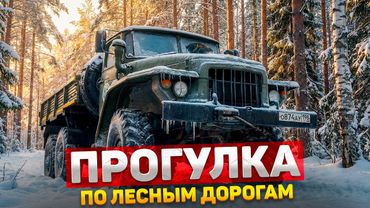 Прогулка по лесным дорогам | Exploring Forest Trails