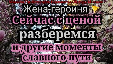 Жена Героиня.Про авто и сумочку