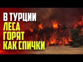 В Турции продолжают бороться с лесными пожарами