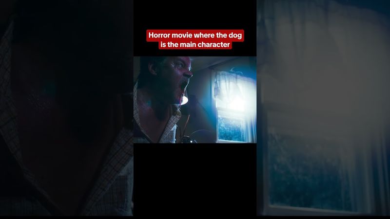 Good Boy is a horror movie from the perspective of a dog. #goodboy #dog #dogs #scary #horror #movie