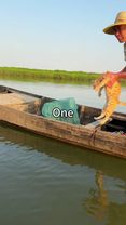 My cat runs to Uncle Chen's fishing boat every day, and every time I ...