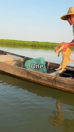My cat runs to Uncle Chen's fishing boat every day, and every time I ...