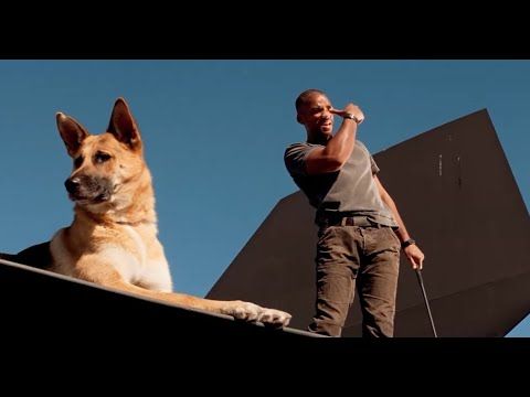 Я единственный выживший ✄ Я – легенда 2007