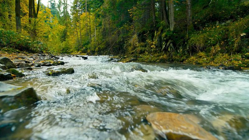 4K Mountain River in Peaceful Forest | Flowing Water Sounds, No Birds | River Ambience for Sleep.