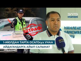 1-ИЮЛДАН ТАРТА ОСАГОсуз УНАА АЙДАГАНДАРГА АЙЫП САЛЫНАТ