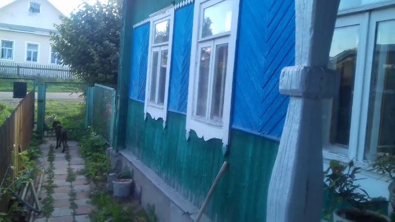 Живодёр города Вязьма. Страшное время. Бонифация. Встречаем цветы.